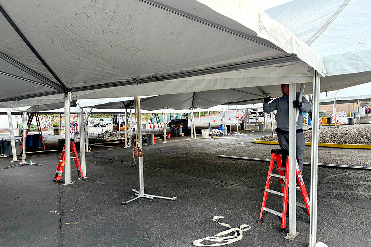 Workers set up the main tent for the Dungeness Crab Festival in downtown Port Angeles on Wednesday evening. (Kelley Lane/Peninsula Daily News)
