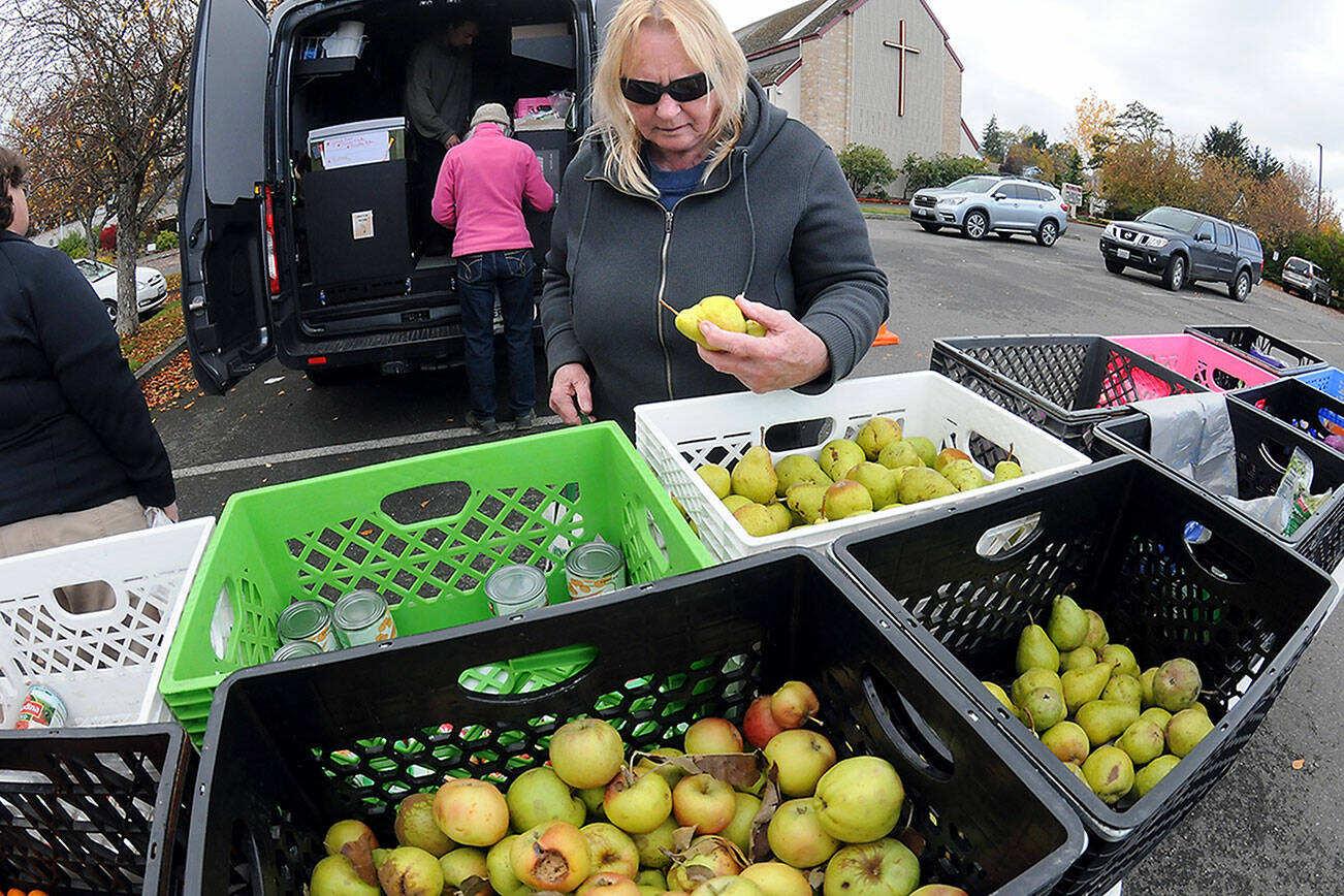Linda Briley of Port Angeles sorts through bins of fresh fruit and vegetables at a traveling version of The Market, operated by the Port Angeles Food Bank, during a stop on Wednesday at Holy Trinity Lutheran Church in Port Angeles. The Mobile Market makes weekly stops at nine locations around Port Angeles and Joyce, offering free food supplies and meals for those in need. Times and locations can be found at www.pamarket.org. (Keith Thorpe/Peninsula Daily News)