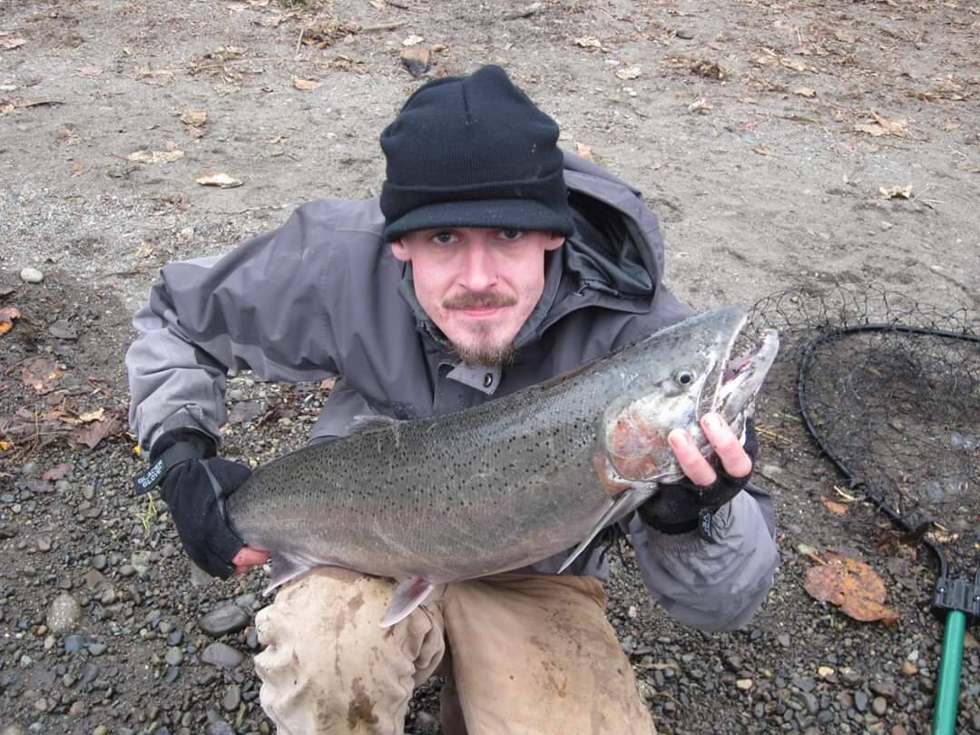 Nate Treat holds up a hatchery steelhead caught while fishing on the Bogachiel River near Forks. The Quillayute, Bogachiel and Calawah rivers will have a two hatchery steelhead limit through Feb. 28. The Hoh River also will have a two-hatchery steelhead limit through Feb. 15.