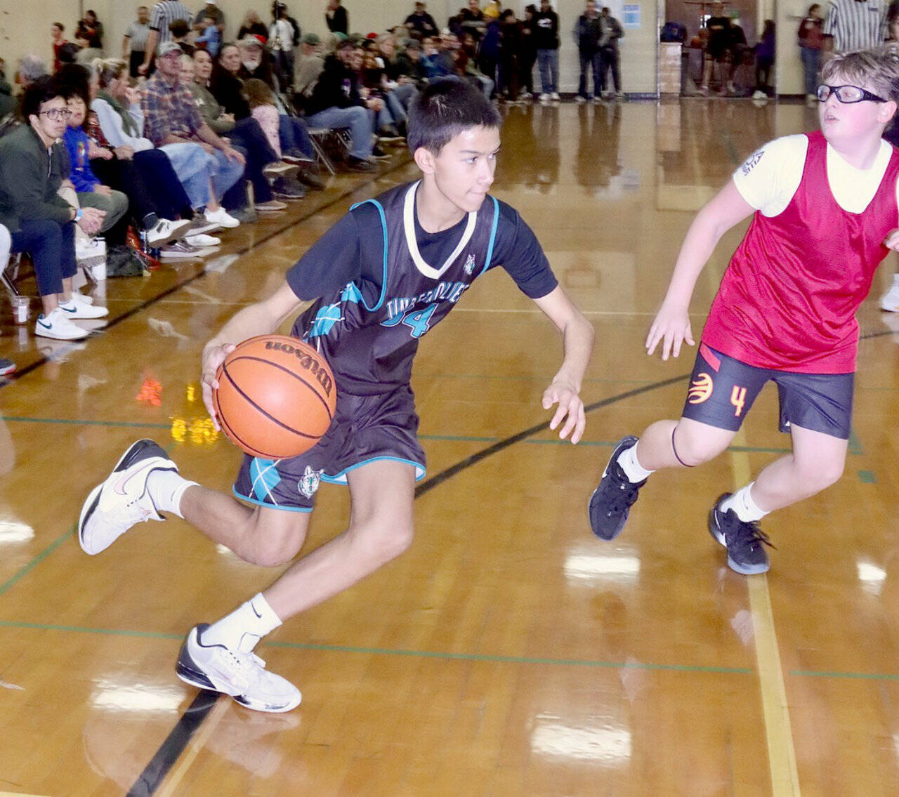 Port Angeles hosted the Fall Classic Basketball Tournament this weekend with 50 teams from as far away as Bainbridge and Everett. The tournament featured girls and boys from fourth through eighth grades playing games Saturday and Sunday at Port Angeles High School and Roosevelt and Stevens middle school gyms. Each division winner will have qualified for the state tournament in 2026. Here, Jack Jacobson, a Sequim Timberwolves seventh grader, drives around a player from Poulsbo. The Sequim Timberwolves won the game 50-25. (Dave Logan/for Peninsula Daily News)