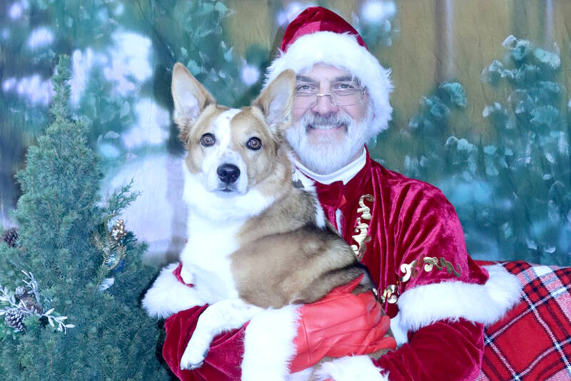 Christopher Thomsen, portraying Santa Claus, holds a corgi mix named Lizzie on Saturday at the Airport Garden Center in Port Angeles. All proceeds from the event were donated to the Peninsula Friends of Animals. (Dave Logan/for Peninsula Daily News)